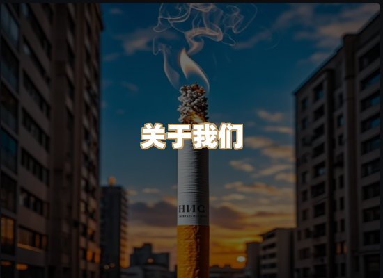 关于云歌烟网